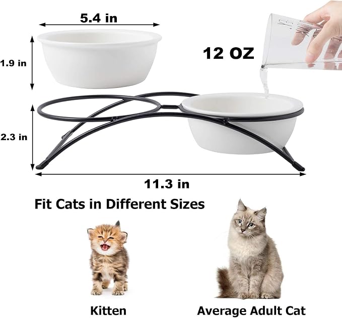 Cat & Dog Bowls - Ceramic Elevated Pet Raised Cat Food Bowls, 12 Ounce, Dishwasher Safe