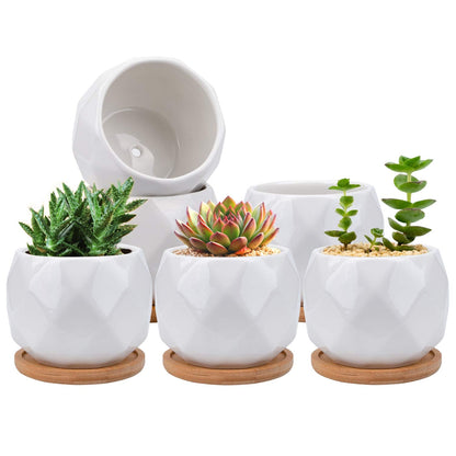 Jucoan 6 Pack Ceramic Succulent Planter Pot with Bamboo Tray, 4 Inch Small White Diamond Shaped Cactus Herb Flowers Planter with Drainage Hole for Indoor Home Office Decor