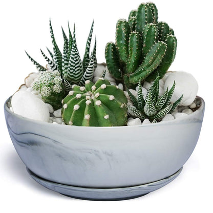 G EPGardening 8+10 Inch Ceramic Succulent Planter Pots Round Shallow Bonsai Planter Pot for Indoor Plants with Drainage and Plant Saucer