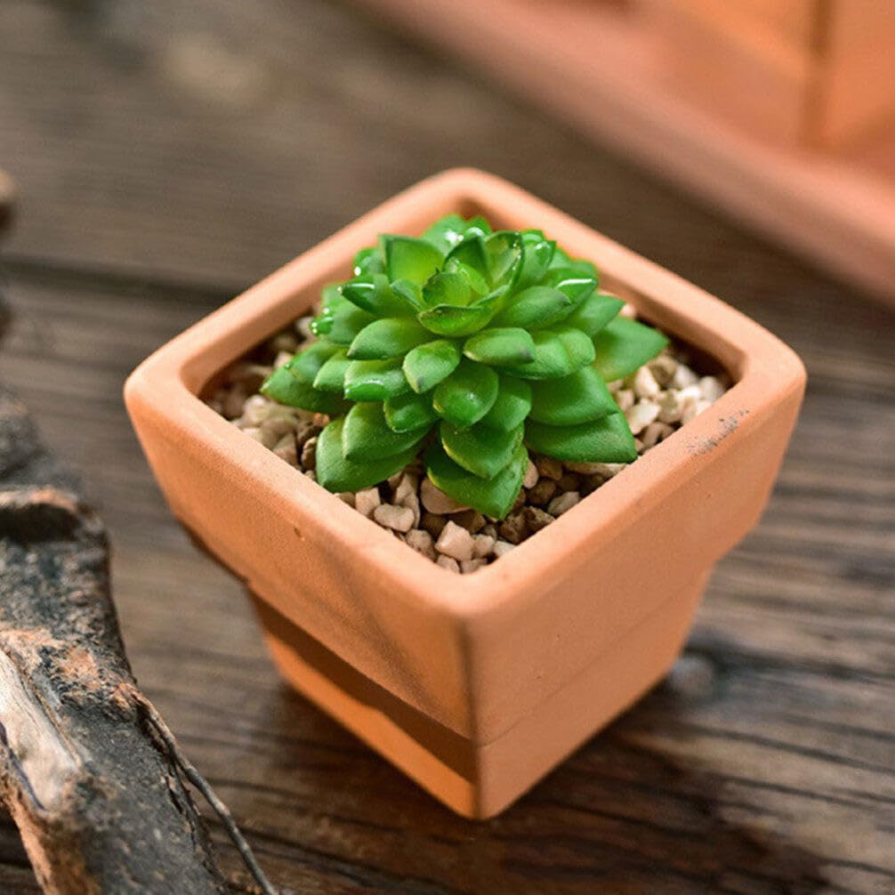 GANAZONO 5pcs Small Terracotta Pots Square Clay Pots Ceramic Flower with Drainage Holes Cactus Nursery Planter Succulent Terracotta Plant for Outdoor Indoor