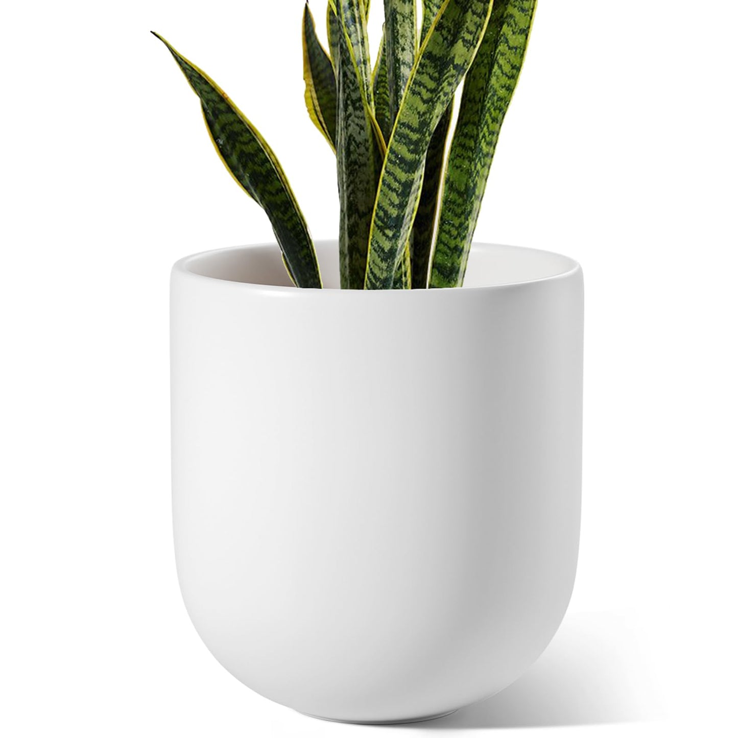LE TAUCI 10 Inch Plant Pot, Ceramic Pots for Plants with Drainage Hole and Rubber Plug, Plant Pots Indoor for Olive Tree, Cylinder Planter Pot for Home Patio Office, White