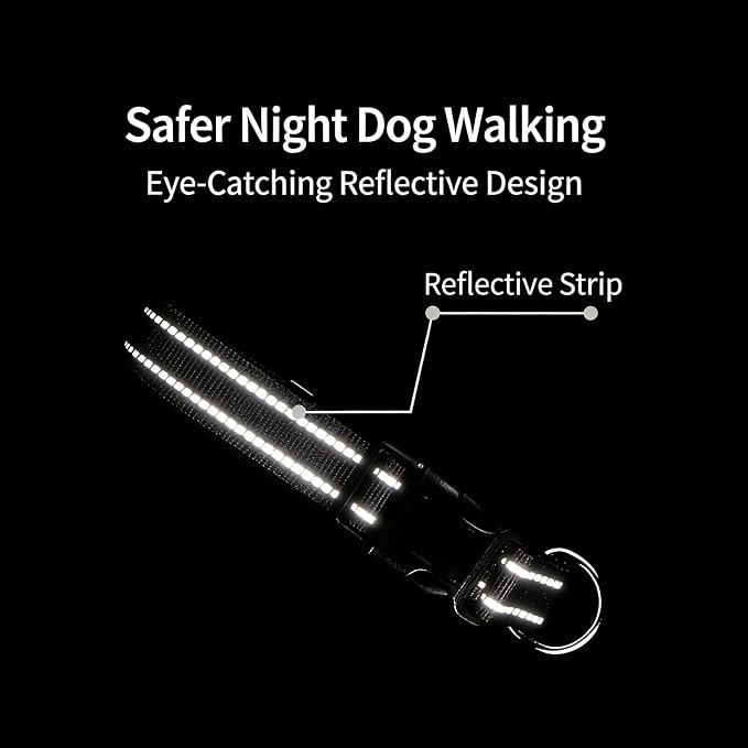 Dog Collar Leash Set, Gradient Color, with Safety Reflective Strips, 5 ft Matching Leash, Neoprene Padded Handle, Adjustable 4 Sizes for Small Medium Large Dogs.(M, Black Grey)