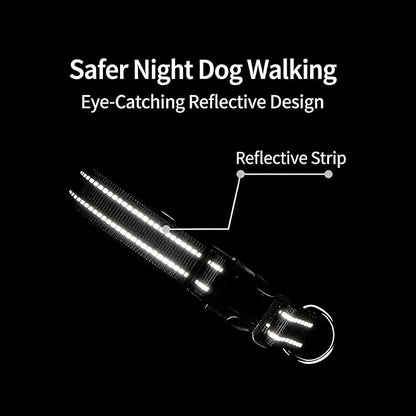 Dog Collar Leash Set, Gradient Color, with Safety Reflective Strips, 5 ft Matching Leash, Neoprene Padded Handle, Adjustable 4 Sizes for Small Medium Large Dogs.(S, Green Orange)