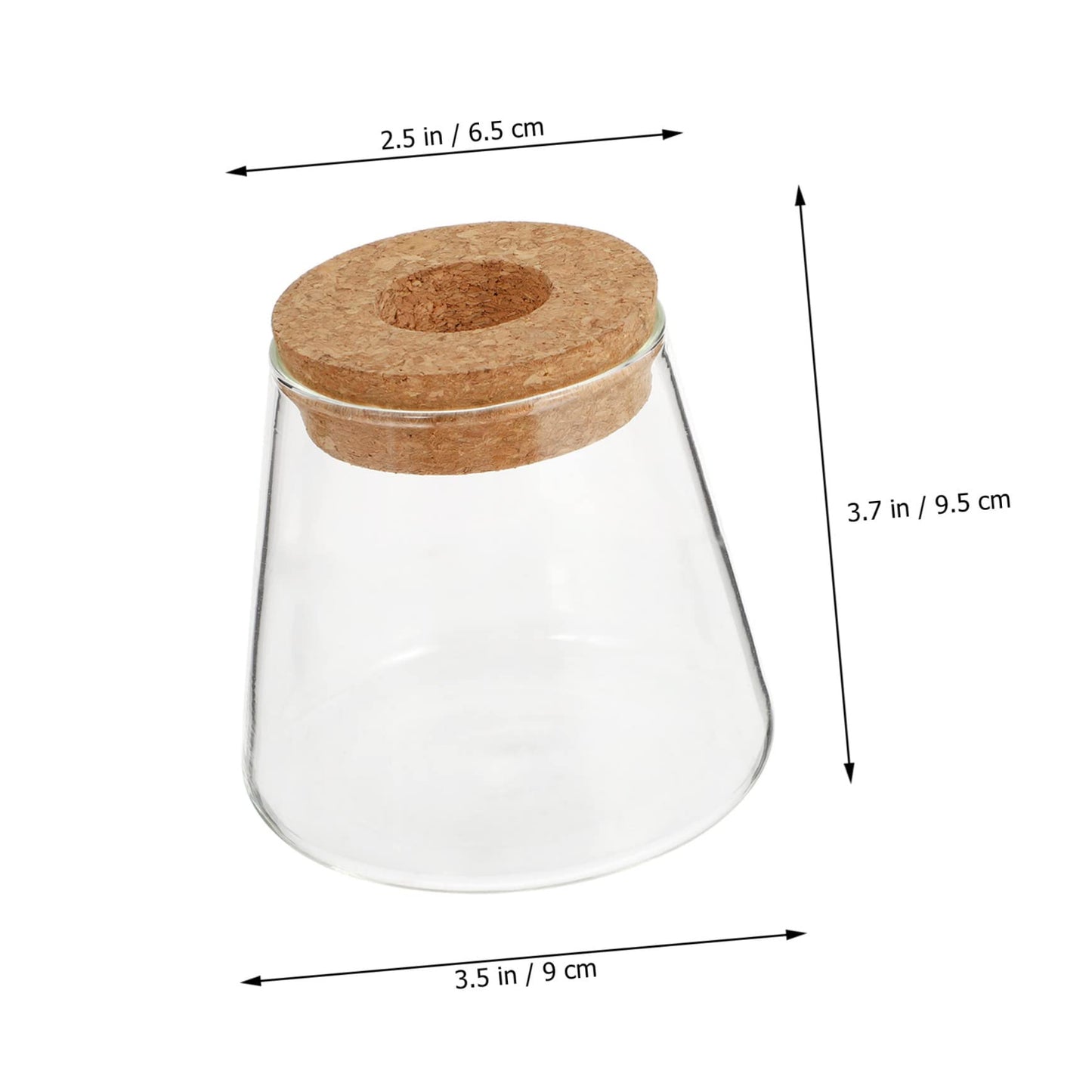 Zerodeko 2pcs Glass Eco Bottle Small Plant Vase for Indoor Terrarium Decoration Water Plants Home Decor Vase