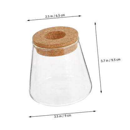 Zerodeko 2pcs Glass Eco Bottle Small Plant Vase for Indoor Terrarium Decoration Water Plants Home Decor Vase
