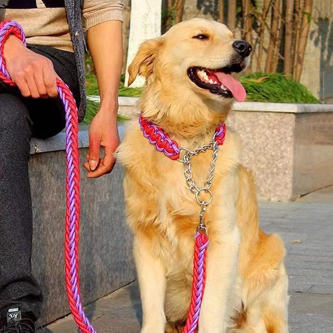 Love Dream Dog Collar and Leash Set, Heavy Duty Nylon Braided Rope Strong 4 FT Dog Leash and Martingale Training Collar for Small Medium Large Dogs Training and Walking (Pink)