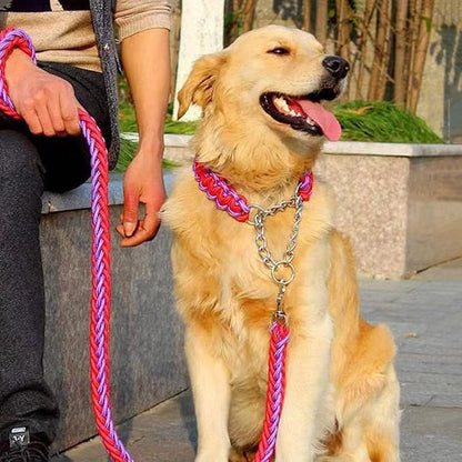 Love Dream Dog Collar and Leash Set, Heavy Duty Nylon Braided Rope Strong 4 FT Dog Leash and Martingale Training Collar for Small Medium Large Dogs Training and Walking (Purple & Pink)