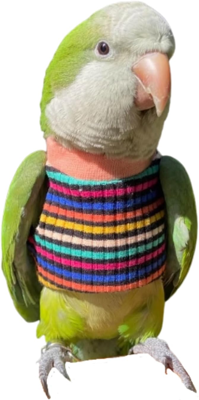 Bird Clothes - Handmade Cotton Stripe Shirt Round Collar Sweater Flight Suit for Parrots African Greys Parakeet Cockatiel Sun Conure Christmas Halloween (Without Diaper,M)