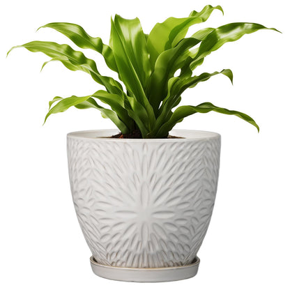 G EPGardening 8 Inch Ceramic Plant Pot with Drainage Hole and Saucer Round Planter Pot for Indoor Outdoor Plants Modern Large Flower Pot White