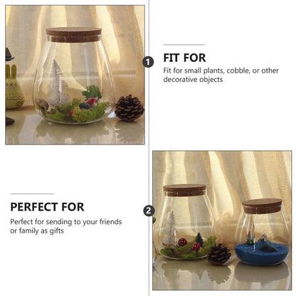 Ciieeo Creative Glass Bottle Ornament 4.52X3.93X3.93In Clear Terrarium Jar with Cork Lid for Mini Plant Display Diy Crafts Home D Cor Accent