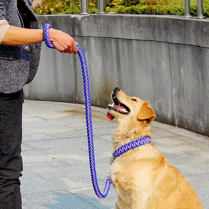 Love Dream Dog Collar and Leash Set, Heavy Duty Nylon Braided Rope Strong 4 FT Dog Leash and Martingale Training Collar for Small Medium Large Dogs Training and Walking (Blue & Purple)