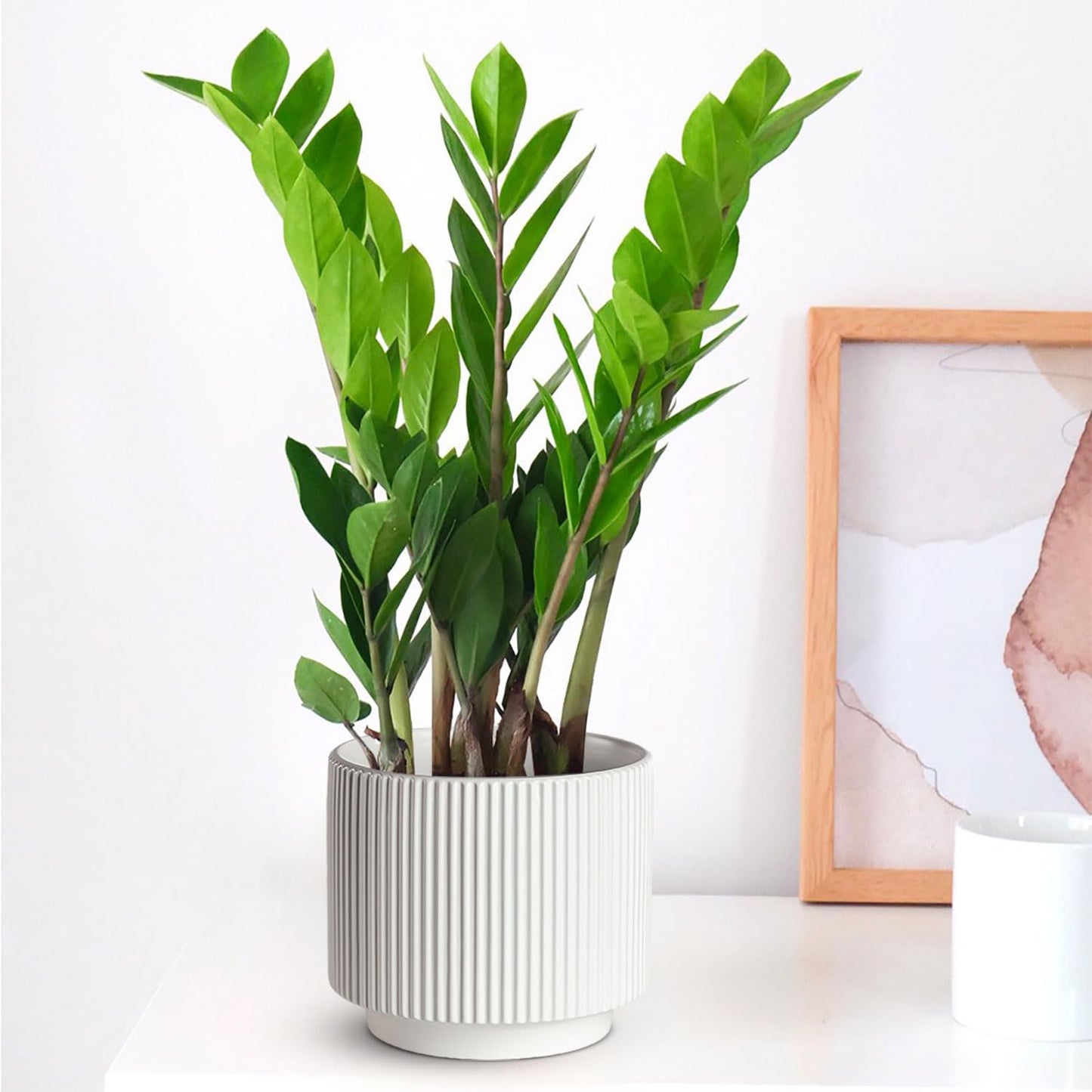 Houlu Set of 3 White Ceramic Plant Pots (7.8/6.5/5.1 inch) with Drainage, Small Flower Planter for Indoor and Outdoor Plants