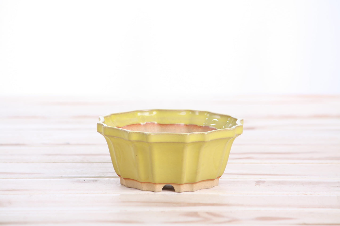 Willow Bonsai Ceramics Flower Design Bonsai Pot 4.5 Inch – Elegant Ceramic Bonsai & Succulent Planter, High‑Fired Frost‑Proof Stoneware with Drainage & Wiring Holes, Handmade in USA (Yellow)