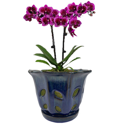 Grdthzey Ceramic Orchid Pots with Holes 6 inch (Dark Blue)