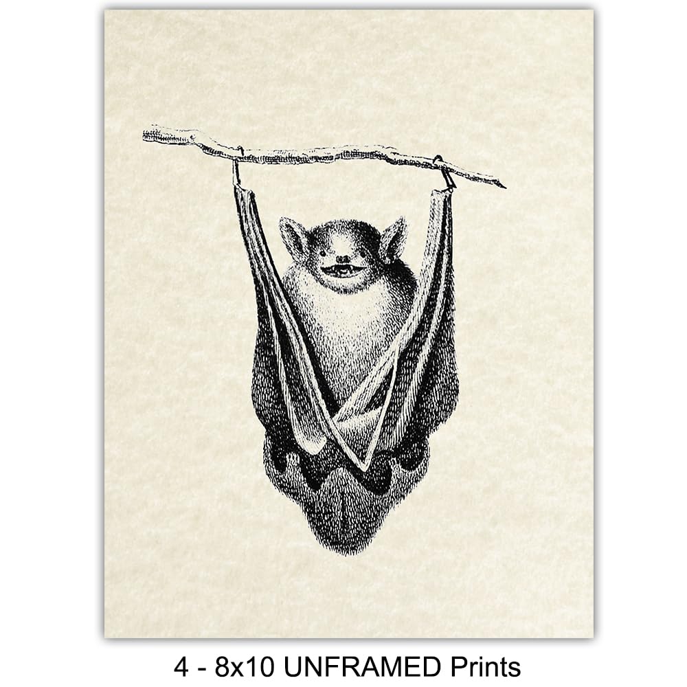Bats Wall Decor - Bat Decorations - Bat Decor for Home - Creepy Gothic Wall Art - Goth Picture - Pagan Gifts - Gothic Artwork