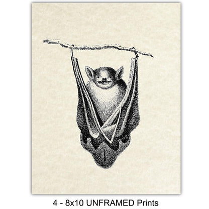 Bats Wall Decor - Bat Decorations - Bat Decor for Home - Creepy Gothic Wall Art - Goth Picture - Pagan Gifts - Gothic Artwork