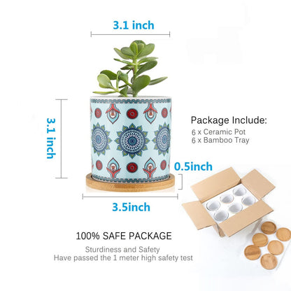 COLOAPT Succulent Plant Pots - 3.1 inch Ceramic Succulent Planter -Cylinder Flower Pots for Cactus with Drainage Hole and Bamboo Tray,6 Pack,Plants not Included