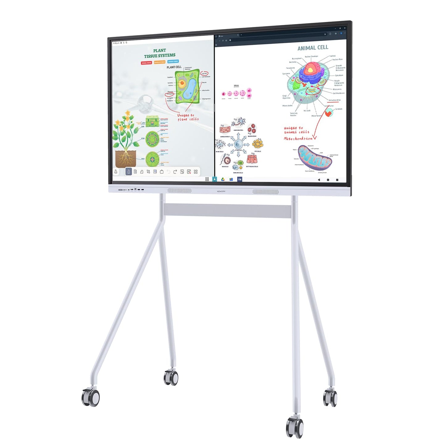 NEWORK 55 Inch Interactive Whiteboard with Mobile Cart, Smart Board for Classroom, Digital Whiteboard with Google EDLA-Certified(Wall Mount Included)