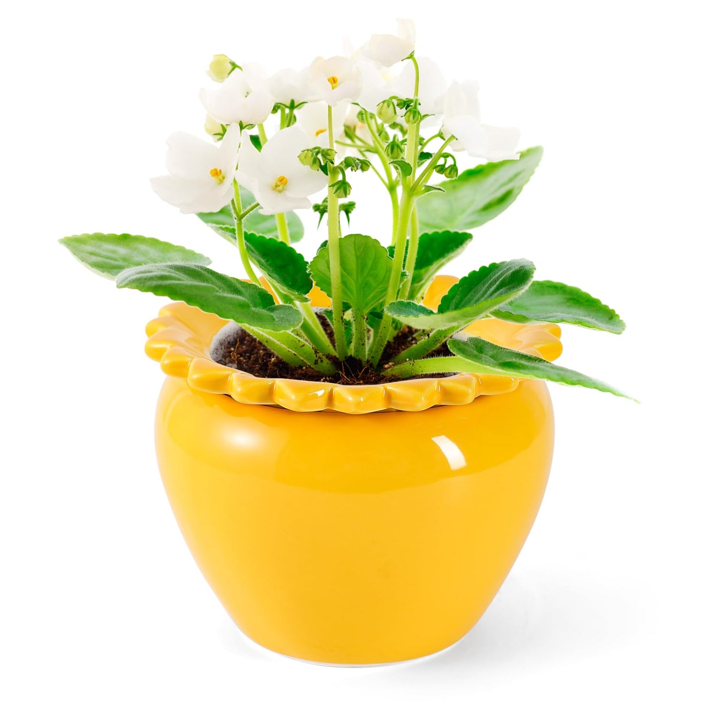 Lovely Ran African Violet Flower Pot Self Watering Plant African Violet Planter Pot Yellow Ceramic Pot Maintenance Plant Seeder Planting 6.5 * 4.6 Inch High Absorption Plant Inner Flower Pot