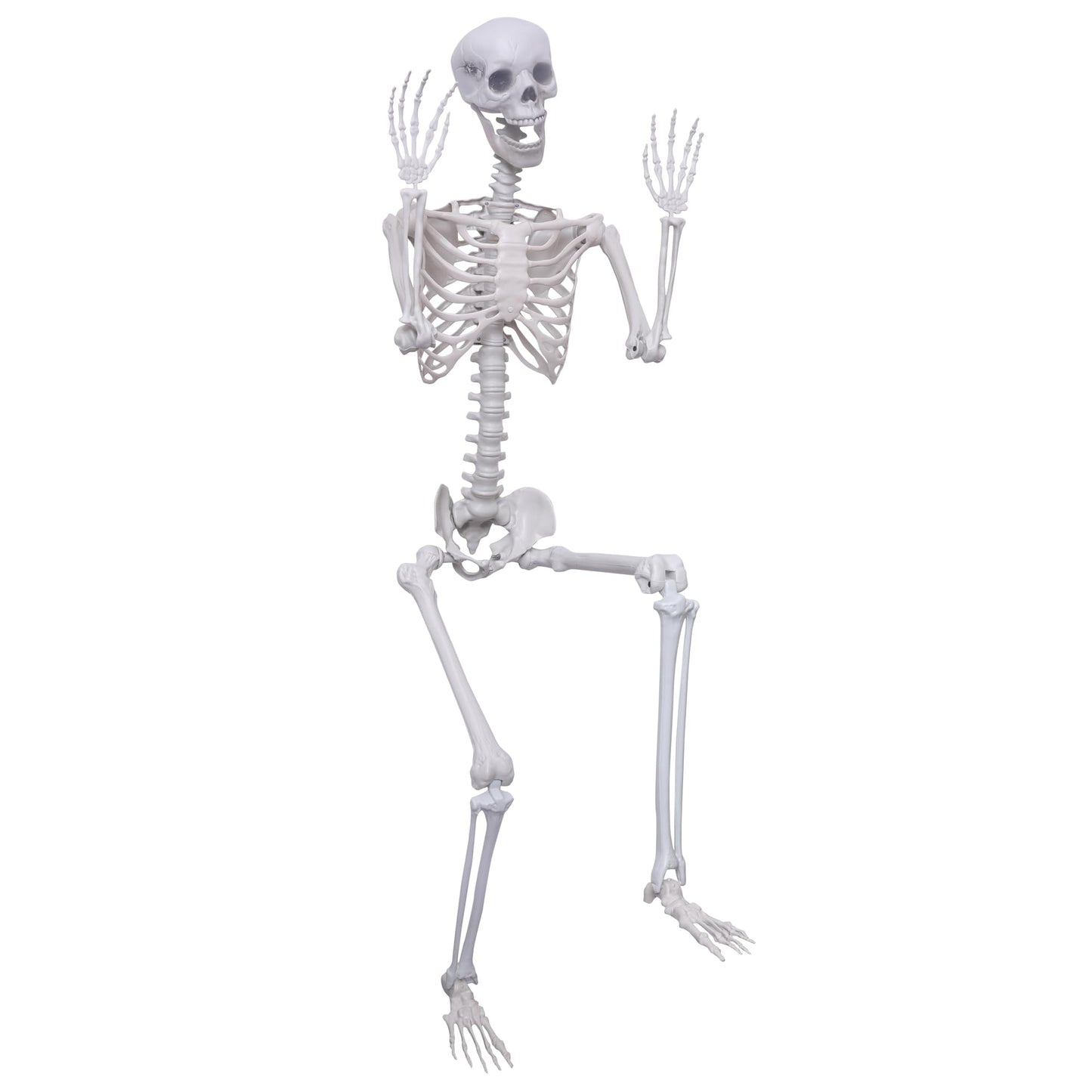 5.9Ft Halloween Life Size Skeleton Posable Skeleton Full Body Plastic Human with Adjustable Joints for Outdoor Indoor Halloween Decoration
