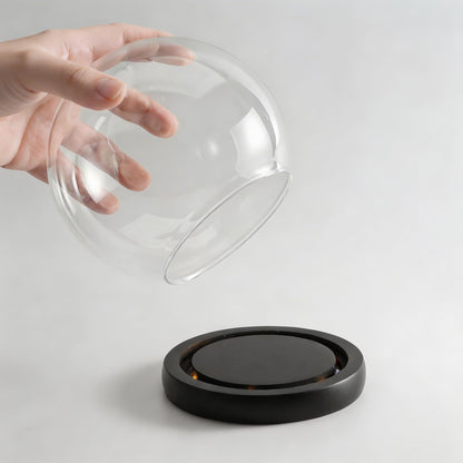 6inch Round Glass Cloche Display Dome with Black LED Lights Base Decorative Glass Display Bell Jar for Plants Keepsakes Collectibles