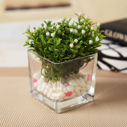 SECFOU 4.5 Inch Cube Glass Vase for Succulent Plants and Greenery, Small Terrarium Planter Pot for Hydroponic Use, Decorative Tabletop Flower Container for Home and Office