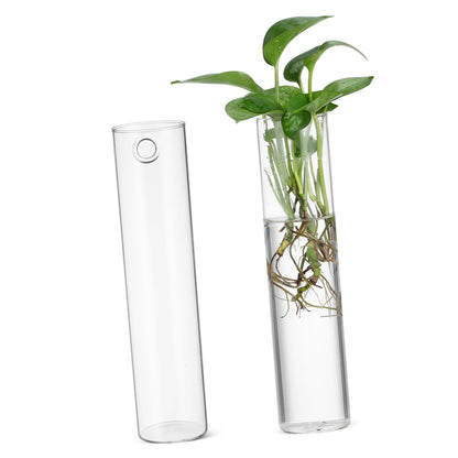Cabilock 2pcs Cylinder Glass Wall Vase Clear Hanging Planters for Wall Propagation Stations Sleek Transparent Hydroponic Plant Terrariums for Home Decor