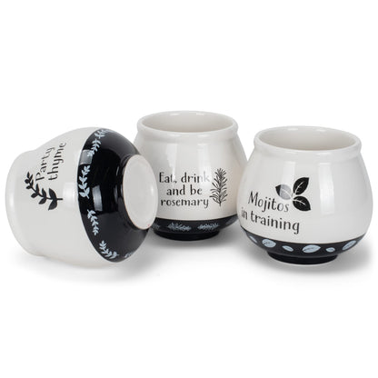 Napco Assorted Witty Herb Cache 3.5 Inch White and Black Ceramic Planters (Set of 3)