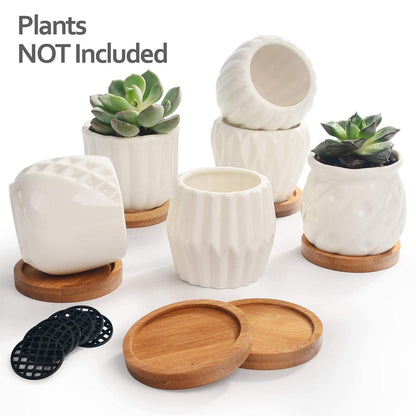 B SEPOR Set of 6 White Simple Porcelain Planters for Small Plant Pots Baby Succulent Cactus with Drainage and Saucer for Home Office Decoration Gift(White Stripes)