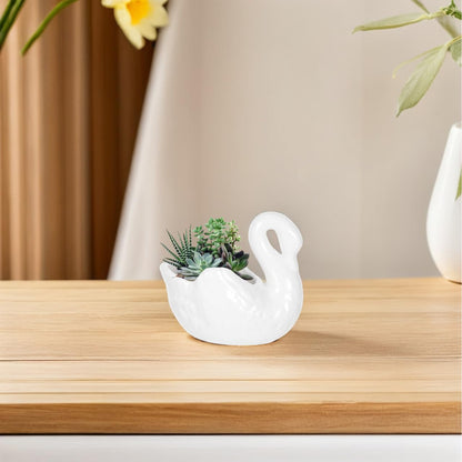 BESTonZON 1Pc Creative Swan Shaped Flower Pot Household Plant Container with Drain for Succulents Cacti for Home Office Garden Decor for Plant