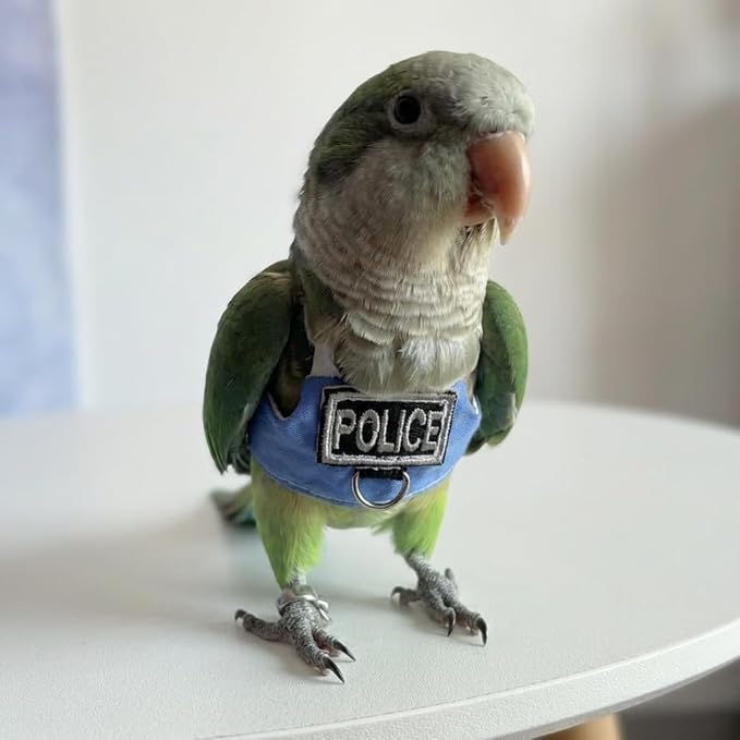 2 Pack Bird Flight Suit Vest, Adjustable Parrot Harness Clothes with Cute Design, Anti-Bite Outdoor Training Outfit for Parakeet, Cockatiel, Conure, Quaker, Budgie (XXL,Without Leash)