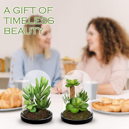 GnFlus Set of 2 Artificial Succulents Plants in Glass Dome with Featuring Sand Moss, Small Fake Aloe Succulents Plants Faux Plants Indoor Decor for Home Office Table Desk Shelf Room Hostess Gift