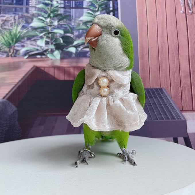 Bird Costume Bird Diaper Flight Suit Parrot Velvet Fleece Skirt Clothes Cosplay Photo Prop for Conure Lovebird Parakeet Cockatiel Macaw Small Animals Apparel (Pink,X-Small)