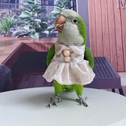 Bird Costume Bird Diaper Flight Suit Parrot Velvet Fleece Skirt Clothes Cosplay Photo Prop for Conure Lovebird Parakeet Cockatiel Macaw Small Animals Apparel (White,XX-Large)