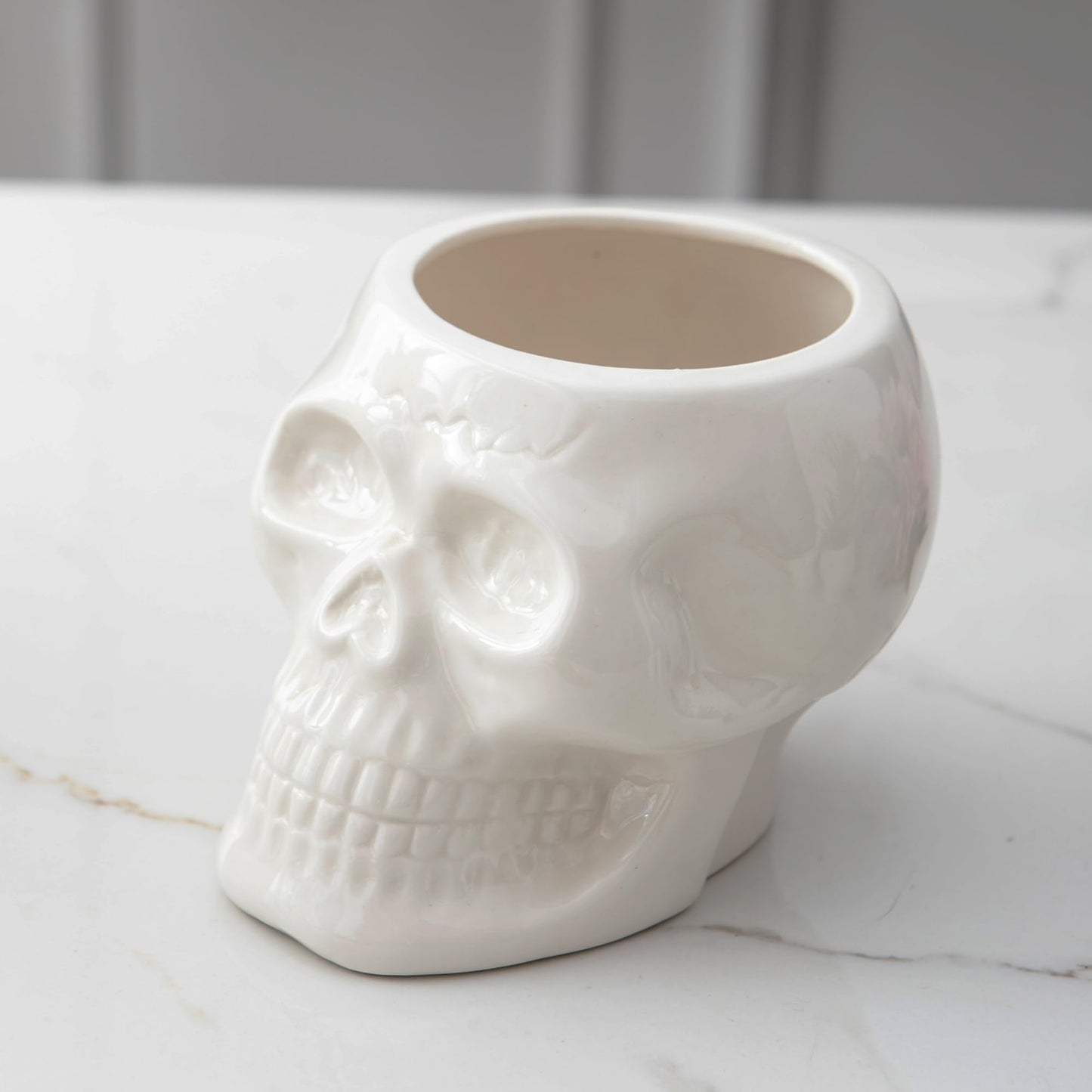 Tanvecle Skull Planter Pots, Skeleton Vase for Succulent, Flowers, Gothic Centerpiece for Table, Punk Home Decor and Accessories, Halloween and Day of The Dead Decorations - White