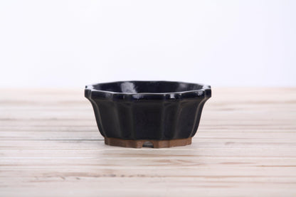 Willow Bonsai Ceramics Flower Design Bonsai Pot 4.5 Inch – Elegant Ceramic Bonsai & Succulent Planter, High‑Fired Frost‑Proof Stoneware with Drainage & Wiring Holes, Handmade in USA (Ruri)