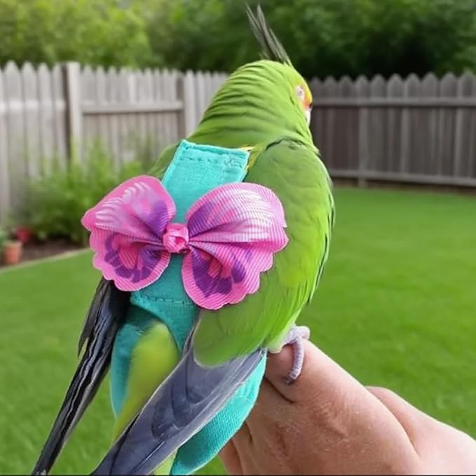 Pet Bird Diaper Harness Adjustable Parrot Harness and Leash Set Cockatiel Flight Suit with 60 Inch Leash Bow Tie Bird Flying Clothes for Conures Cockatoos Cockatiel Pigeon(Pink, Medium)