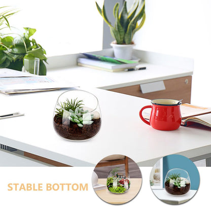 MAGICLULU Clear Glass Vase Cut Bubble Bowl Plant Terrarium Display Glass Tabletop Succulent Air Plant Planter Globe Home Office Decor 13.5cm
