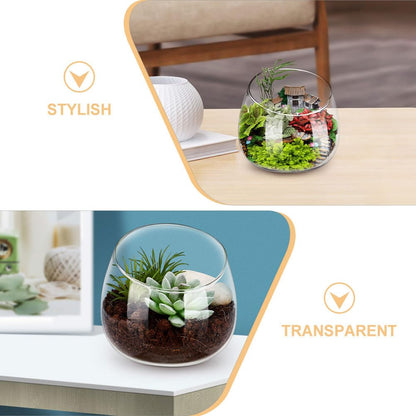 MAGICLULU Clear Glass Vase Cut Bubble Bowl Plant Terrarium Display Glass Tabletop Succulent Air Plant Planter Globe Home Office Decor 13.5cm