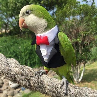 Bird Clothes Birds Flight Suit,Tuxedo Business Suit for Parrots African Greys Parakeet Cockatiel Sun Conure Christmas Party Birthday Cosplay Photo Prop Small Animals Apparel (M,Black Suit)