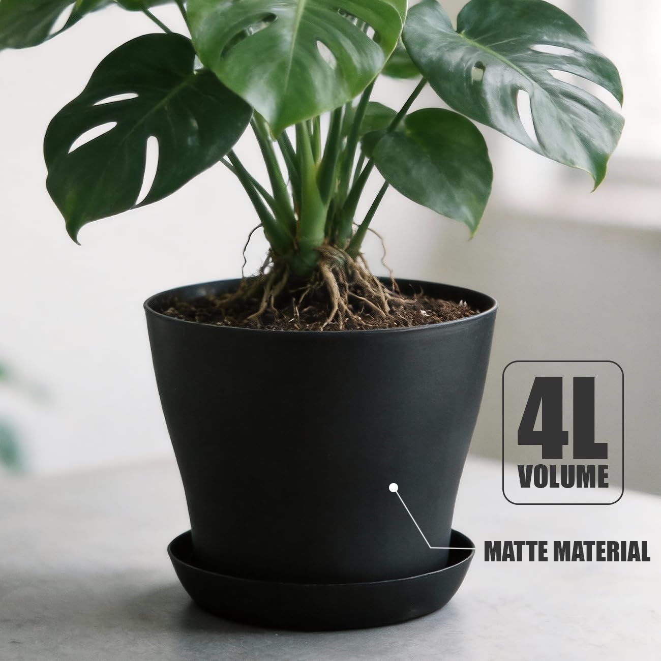 BTPLASTIK 6 Pack 8inch Plastic Round Plant Pot with Drainage Holes & Saucer, Durable 8" Black Nursery Pots Flower Pots for Indoor/Outdoor Plants, Minimalist Curved Design for Succulents, Herbs, Cacti
