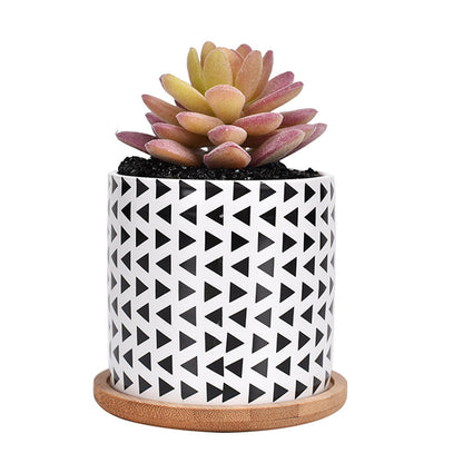 Succulent Pots, 3.5 Inch Small Succulent Planters with Drainage for Plants Live, Hand-Painted Ceramic Pot Flower Pots Bonsai Pots with Bamboo Tray, Unique Gifts for Women/Men, 4 Pack (Geometry-2)