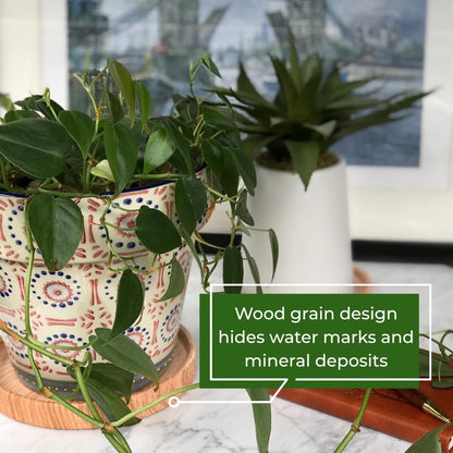 Ceramic Plant Saucer | Plant Trays for Indoors | Drip Tray | Plant Pot Saucers (4.5in + 5.75in, Wooden Grain)