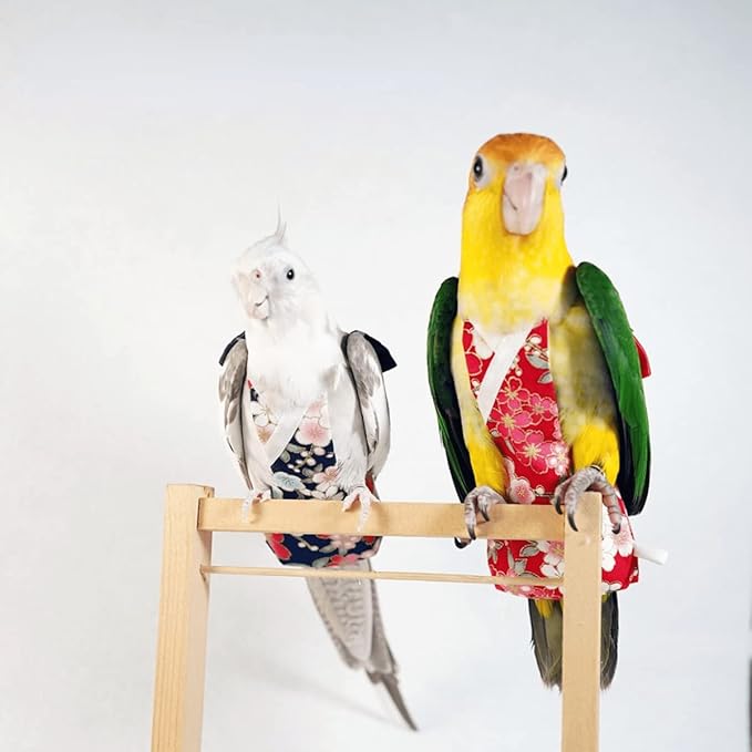 Bird Flight Suits Diapers, Parrot Flight Suits Diapers for Monk Parakeets, Cockatiels Flight Suits, Parrot Clothes, Bird Training Nappy Suit Liners Clothes (Medium,Red-B)