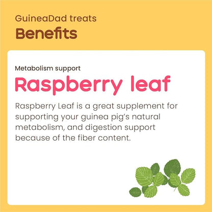 GuineaDad Organic Guinea Pig Herbal Treats - Guinea Pig Food with Convenient Packaging - Raspberry Leaf Flavor - 10 fl. oz - Guinea Pig Treats Help with Bonding - High in Nutrition and Fiber- Small