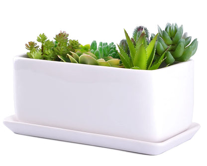 VanEnjoy 10 Inch White Rectangle Ceramic Succulent Planter Pot Decorative Cactus Plant Pot Flower Container with Ceramic Tray