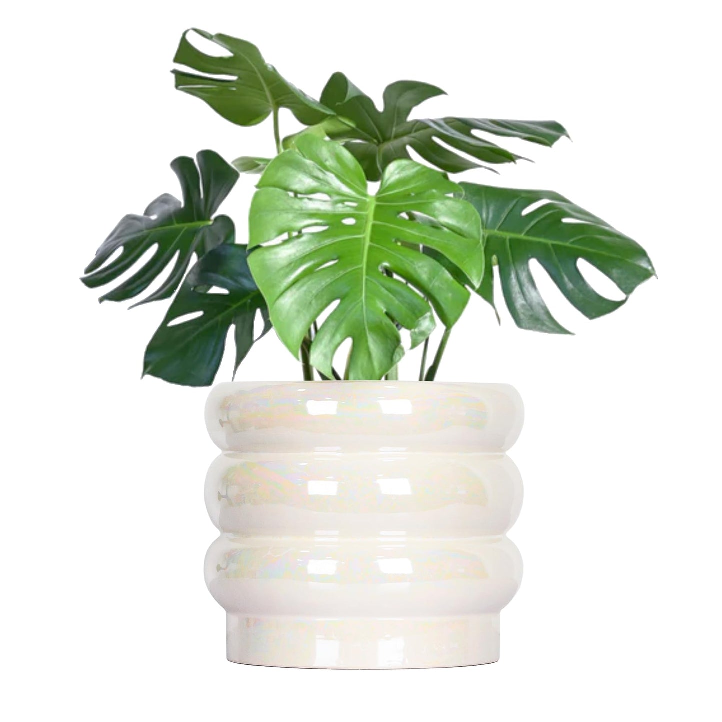 YFFSRJDJ 8 Inch Ceramic Plant Pots for Indoor Plants, White Flower Pot, Rainbow Pearl Glaze Planter with Planters for Plants with Drainage Hole