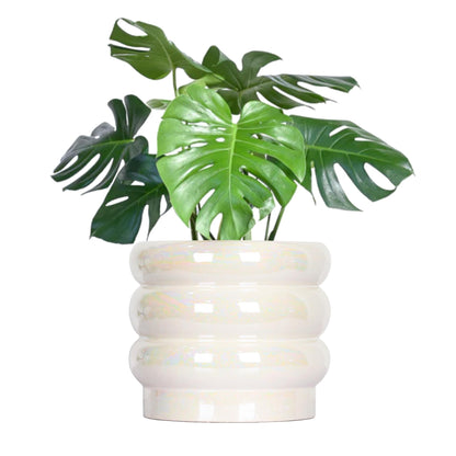 YFFSRJDJ 8 Inch Ceramic Plant Pots for Indoor Plants, White Flower Pot, Rainbow Pearl Glaze Planter with Planters for Plants with Drainage Hole
