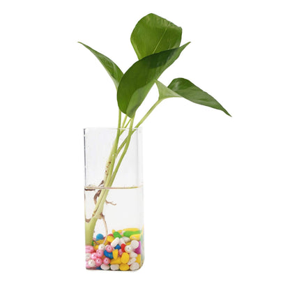 Kuuleyn Hanging Glass Vase, Glass Vase for Plants and Flowers, Flower Planter Wall Hydroponic Aquarium Container Home Decor (Long Tube Shape)
