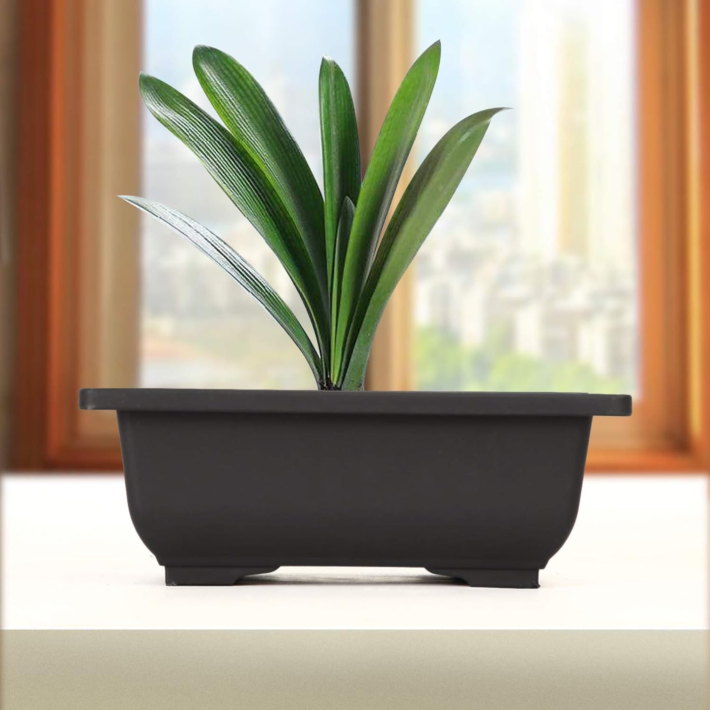 MANCHAP 20 PCS 8.9 Inch Plastic Bonsai Training Pots, Rectangular Bonsai Tree Planter Pot for Garden, Yard, Office, Home Decorative